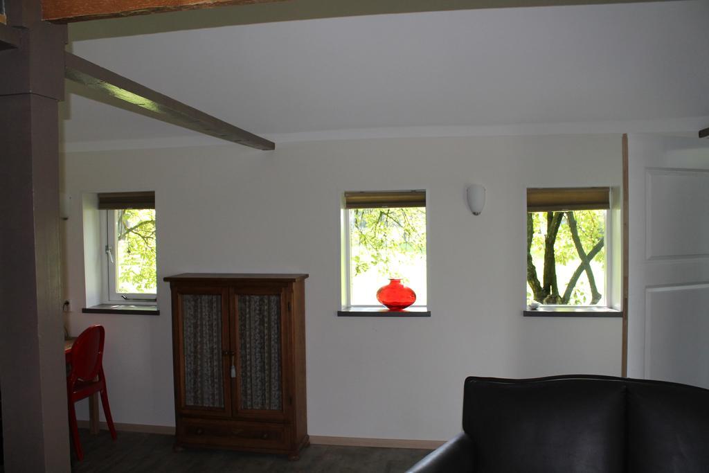 Apartment 'T Zwaluwnest Luttenberg Room photo